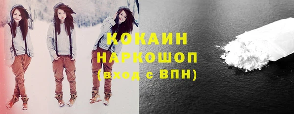 индика Иннополис