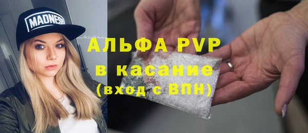 индика Иннополис