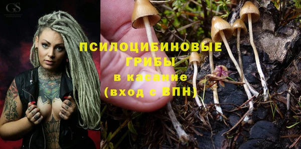 марки lsd Инта
