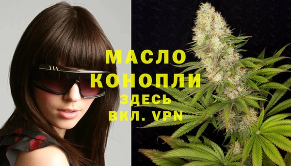 прущий лед Инсар