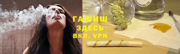 индика Иннополис