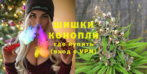 индика Иннополис