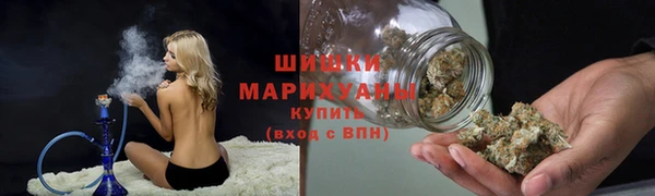 индика Иннополис