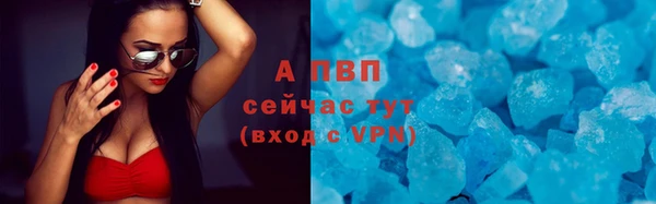 индика Иннополис