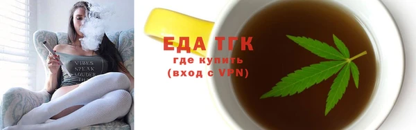 индика Иннополис