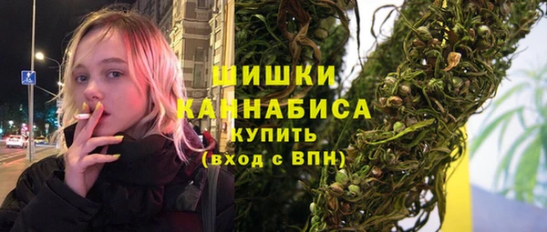 индика Иннополис