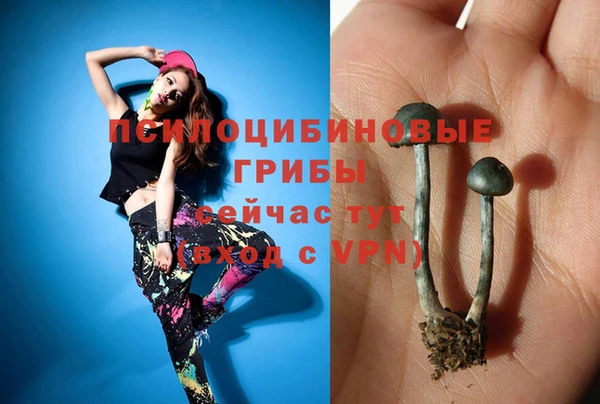 индика Иннополис