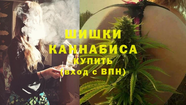 индика Иннополис