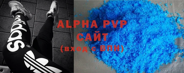 индика Иннополис