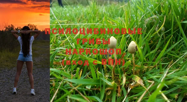 прущий лед Инсар