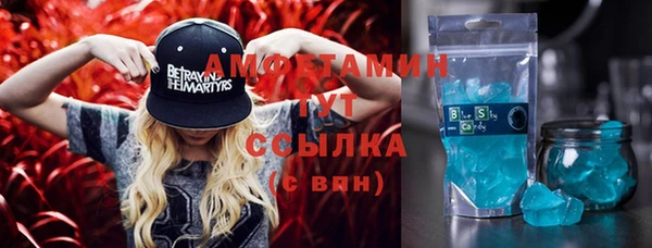 индика Иннополис
