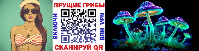 Купить  Карасук  Галлюциногенные грибы прущие грибы 